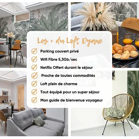 Apartament Loft Dyane - Le Meridien #parking #lave-linge #clim #netflix *